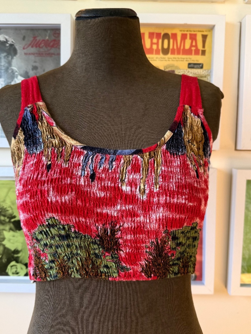 ❤️ Y2K Red Shirred Scenic Print Crop Top — Stretchy Scoop Neck Boho Festival